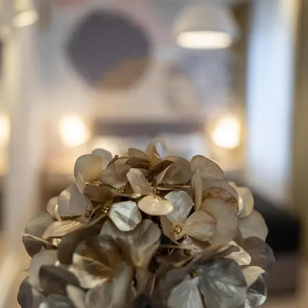 Sweet Dreams-old Town Gasthuis 4*